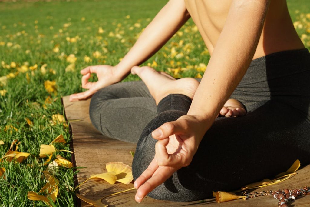 Ibogaine vs ayahuasca psychedelic therapy for addiction recovery and spiritual journey